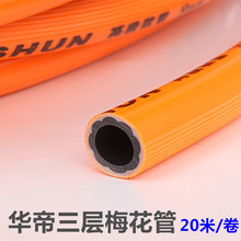 马拉松黄菲